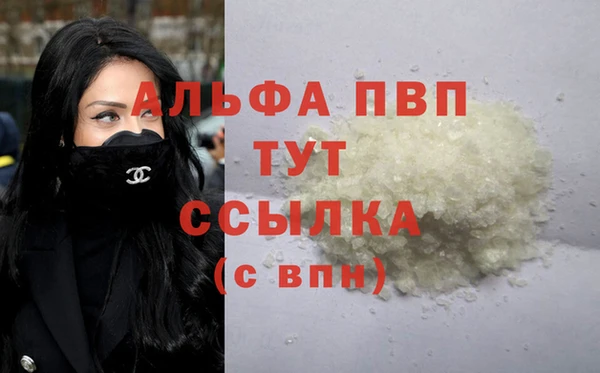 мяу мяу мука Бородино