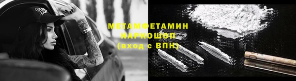 прущие грибы Волоколамск