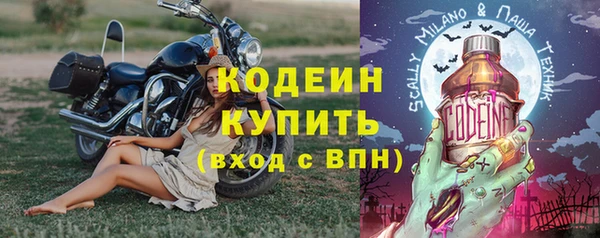 мяу мяу мука Бородино