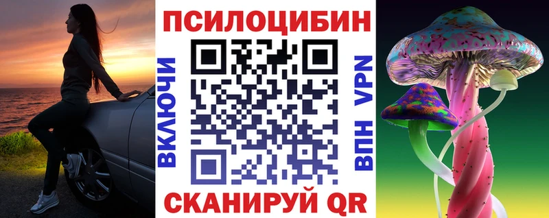 Купить где Буйнакск Псилоцибиновые грибы Cubensis